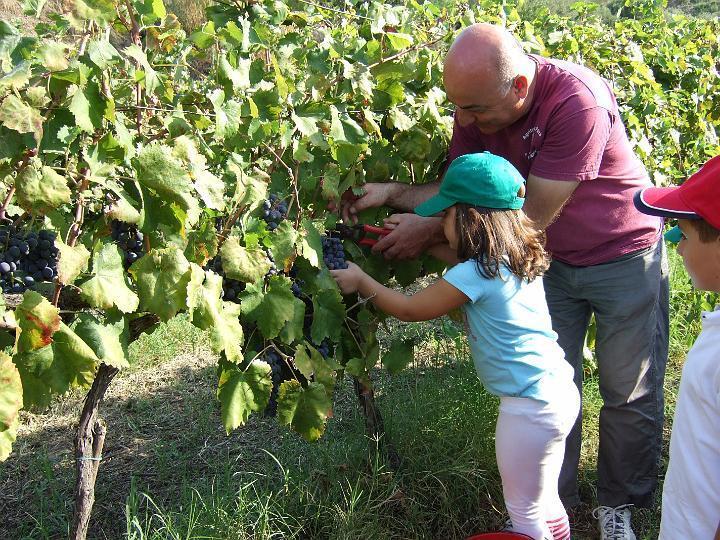 Agriturismo Parra Santa Lucia del Mela Dış mekan fotoğraf