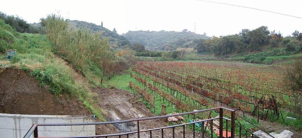 Agriturismo Parra Santa Lucia del Mela Dış mekan fotoğraf